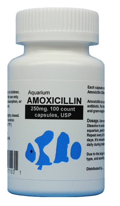 fish mox Aquarium Amoxicillin 250mg 100 capsules