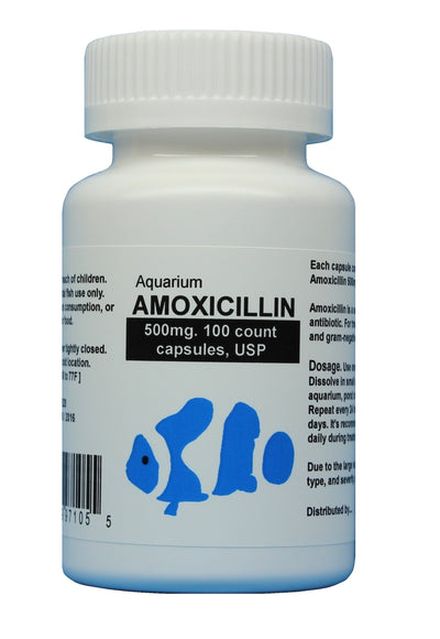 fish mox forte Aquarium Amoxicillin 500mg 100 capsules