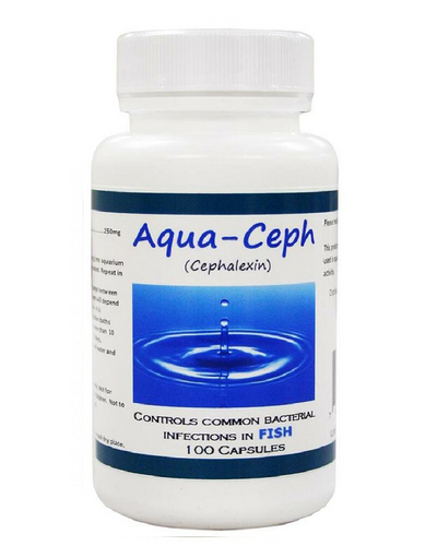 Aqua Ceph  Cephalexin - 250mg 100 Capsules