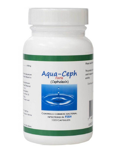 Aqua Ceph Forte Cephalexin - 500mg 100 Capsules
