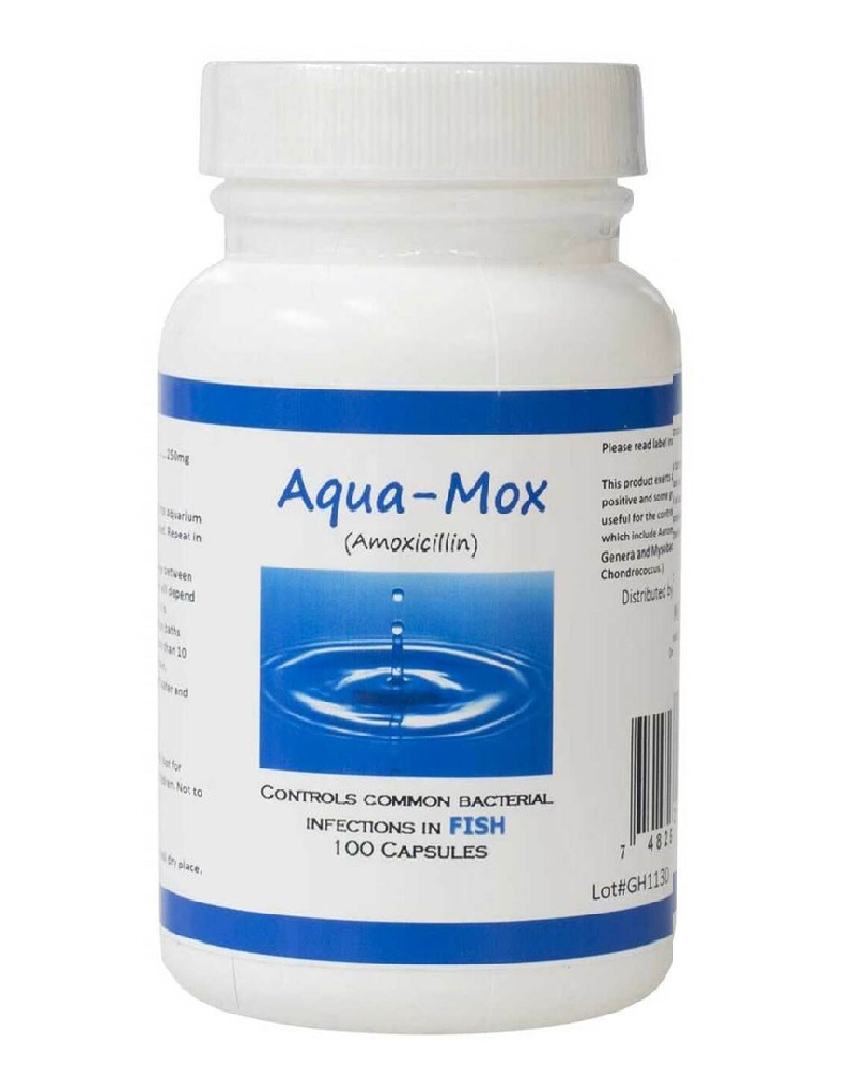 Aqua mox amoxicillin - 250mg 100 Capsules