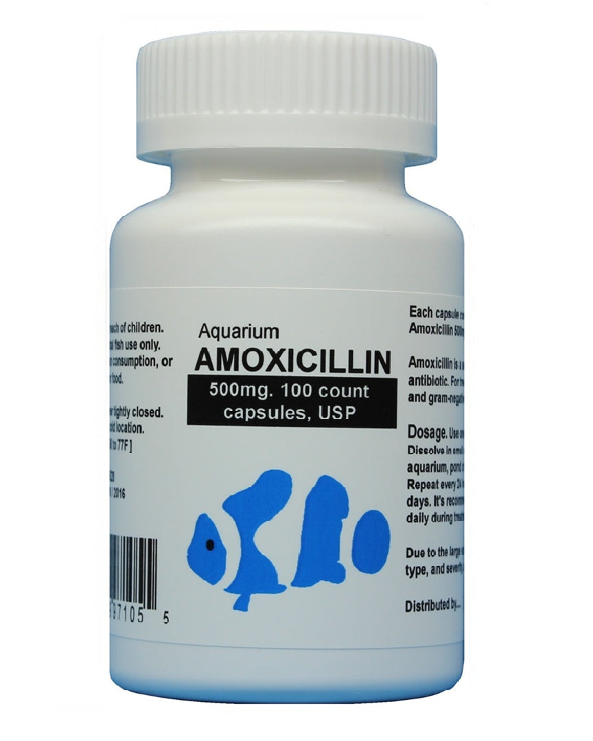 fish mox forte Aquarium Amoxicillin 500mg 100 capsules