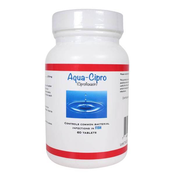 Aqua Cipro Ciprofloxacin - 250 mg 60 Capsules